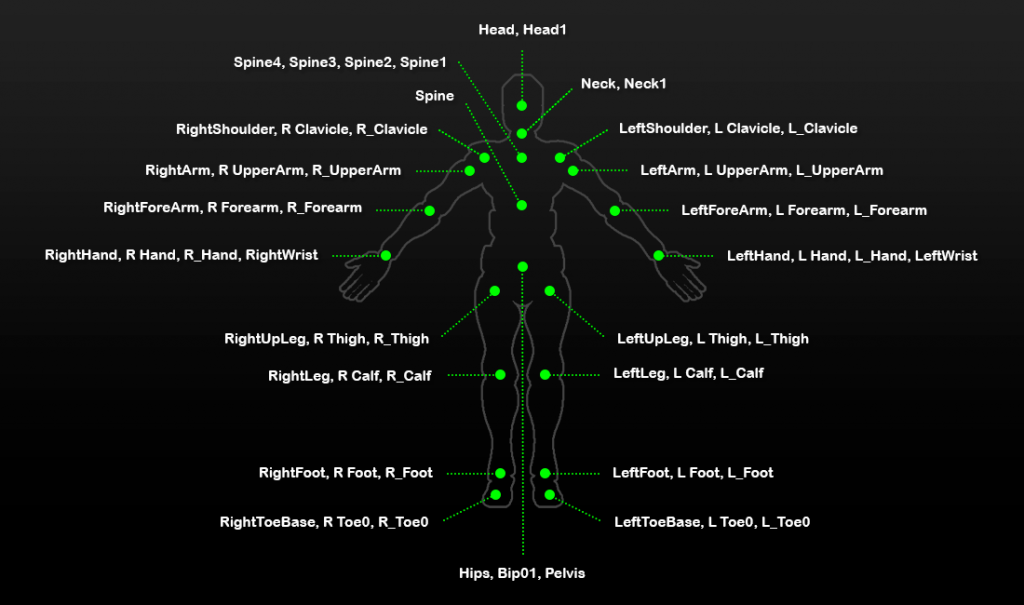 Avatar Importing Bone Scheme